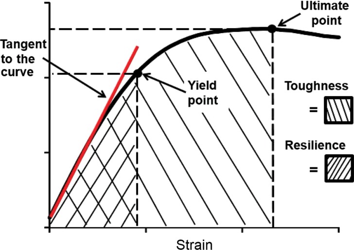 Figure 1b: