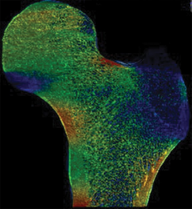 Figure 2a: