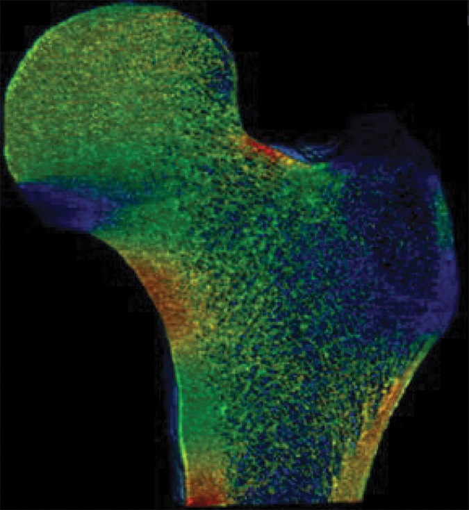 Figure 2c: