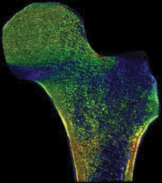 Figure 4b: