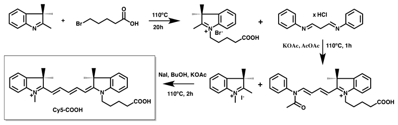 Scheme 1