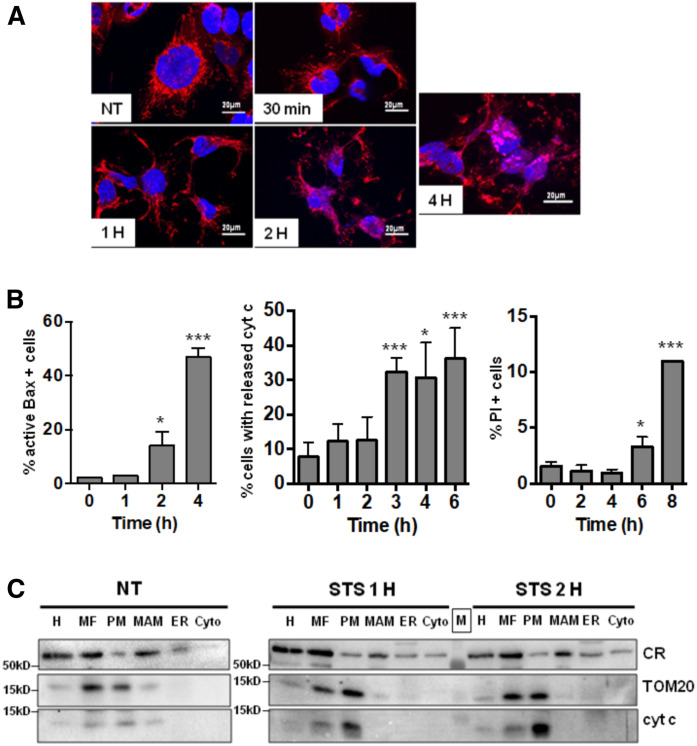 Fig. 3.