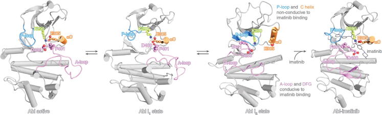 Fig. 9