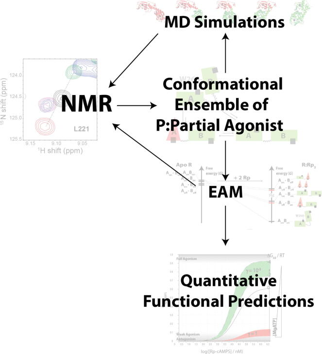 Fig. 11