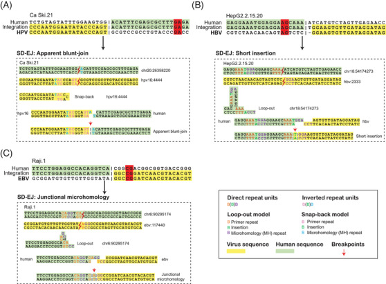 FIGURE 2