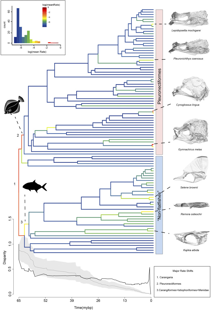 Fig. 3.