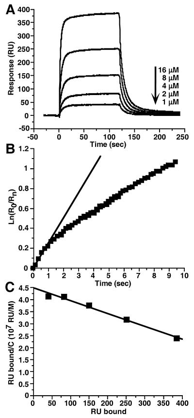 FIG. 5