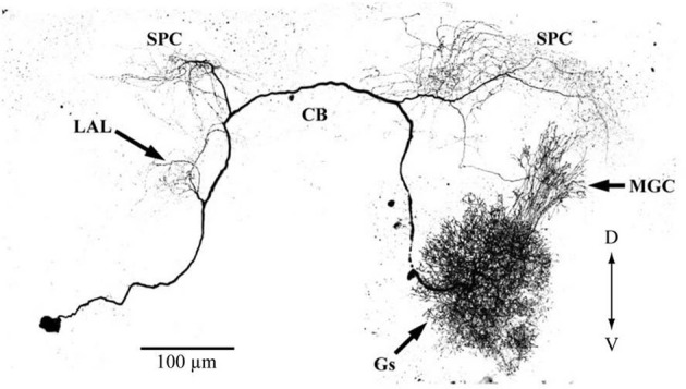 Figure 9