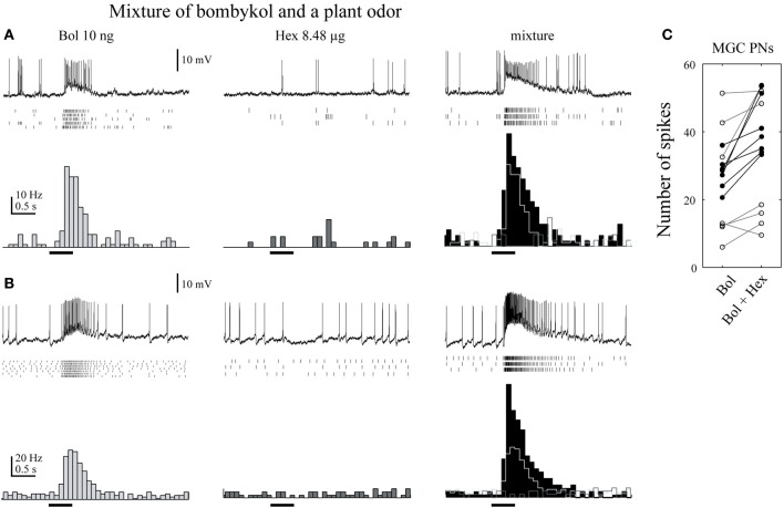 Figure 7