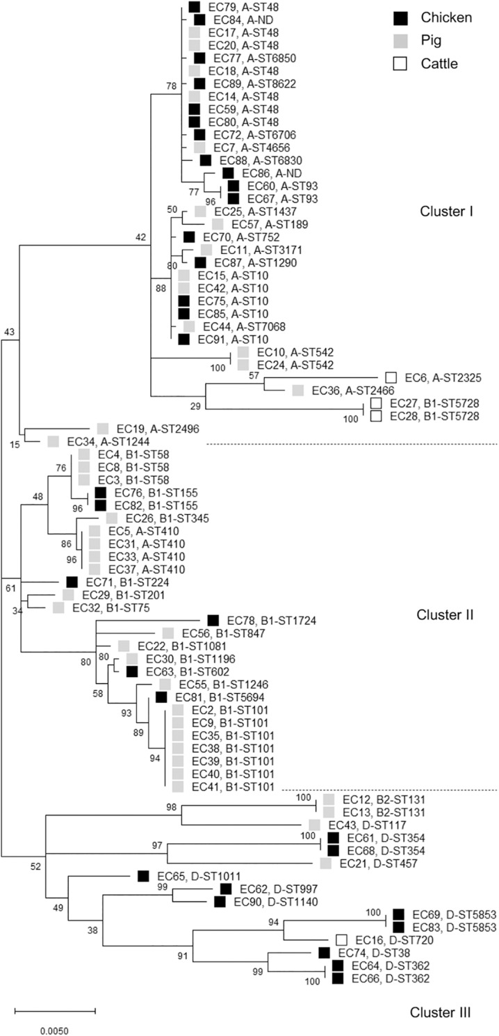 FIGURE 2