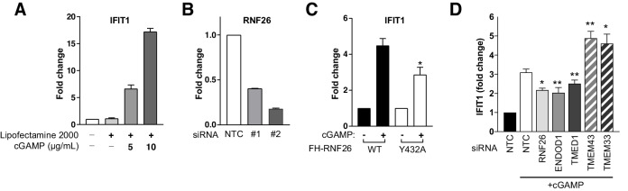 Figure 6—figure supplement 1.