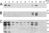 FIG. 5.
