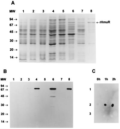 FIG. 7