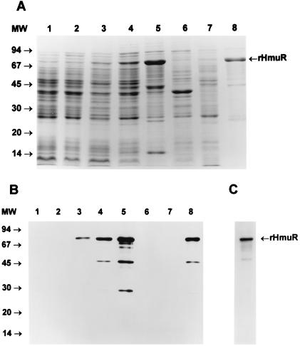 FIG. 6