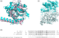 FIGURE 11