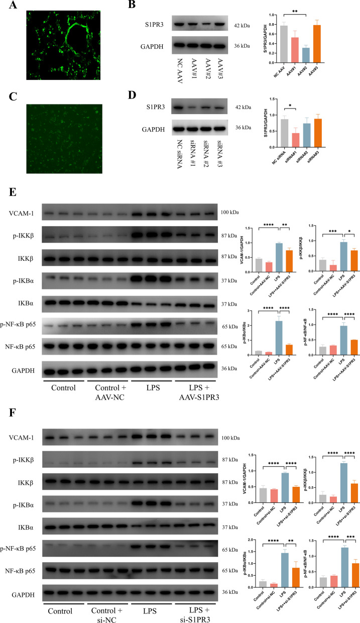 Fig. 7