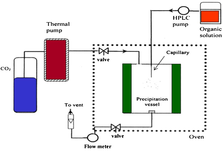 Fig. 1