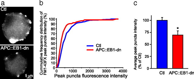 Figure 10.