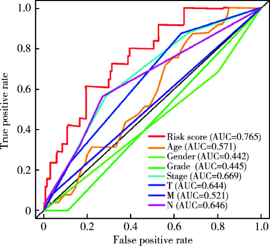 HRSM, HRGs risk score model; HRGs, HER-2 related genes; AUC, area under the curve; ROC, receiver operating characteristic curve.