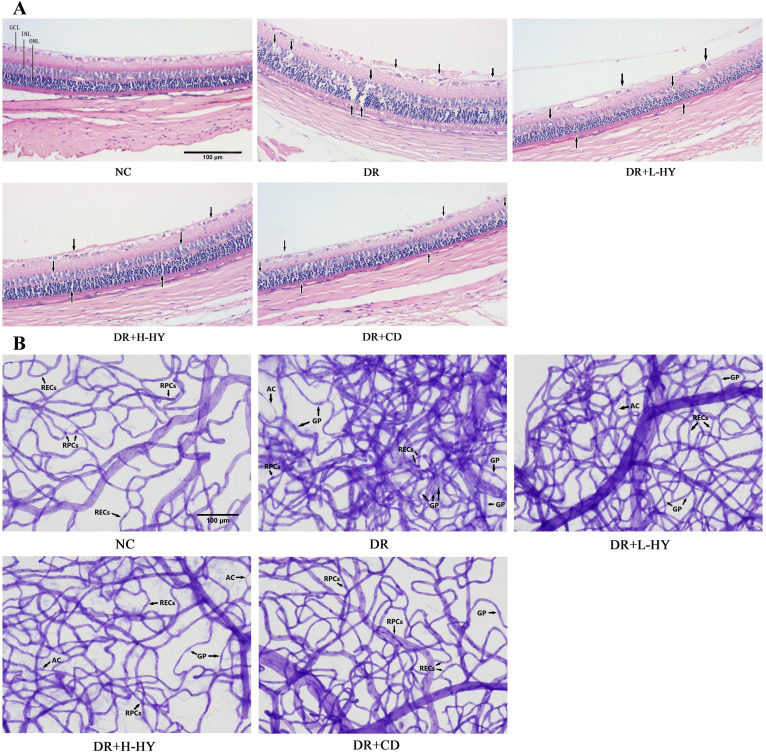 Figure 6