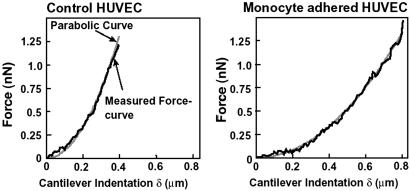 Fig 6.