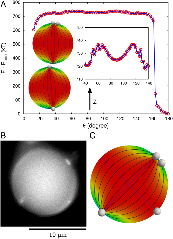 Fig. 3.