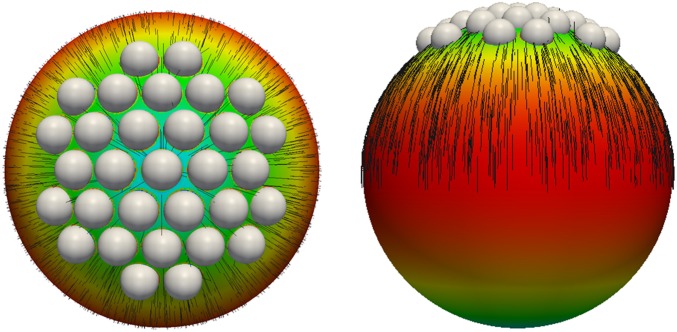 Fig. 7.