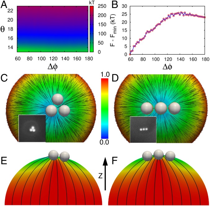 Fig. 4.