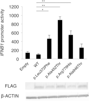 Figure 3