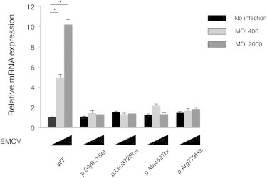 Figure 4