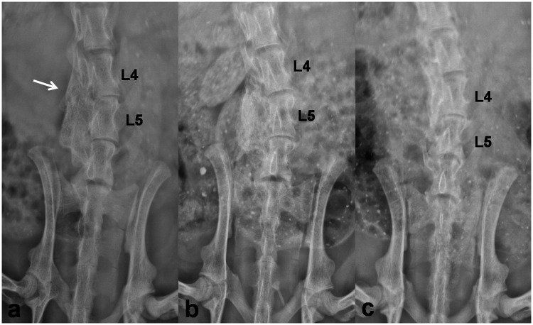 Figure 3.