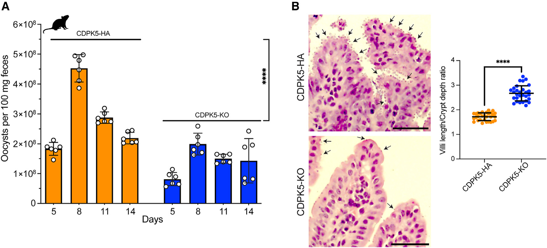 Figure 5.