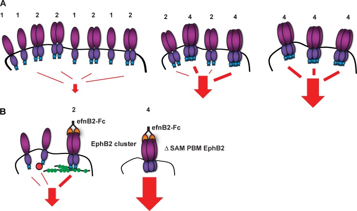 Figure 9.