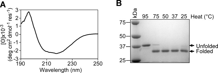 Fig 5