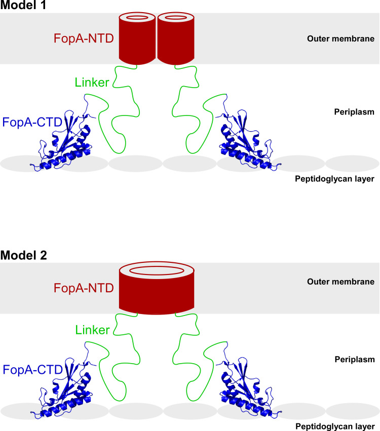 Fig 9