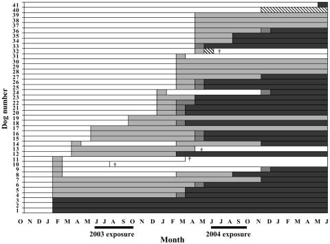 FIG. 2.