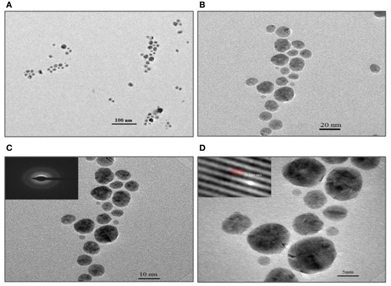 Figure 5