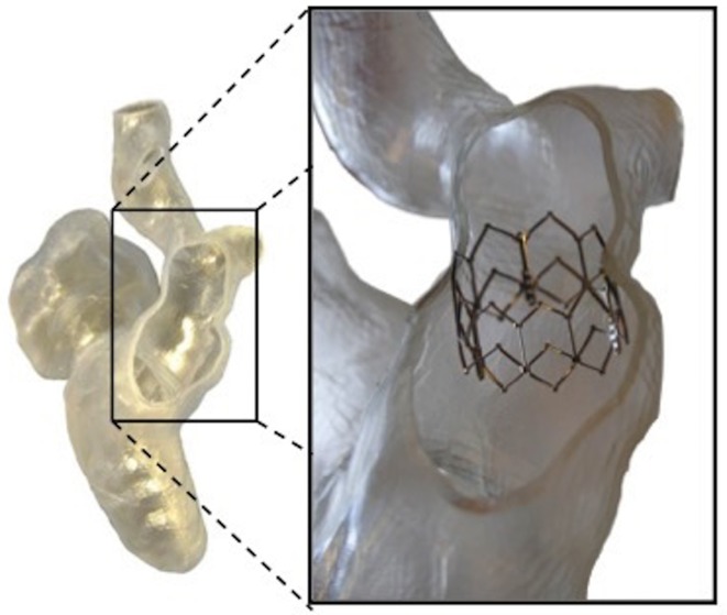 Figure 6. 