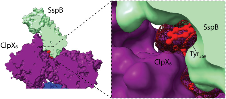 Fig. 3.