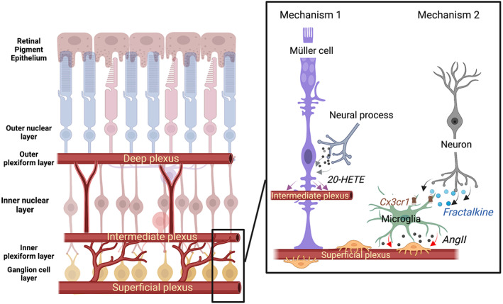 FIGURE 3