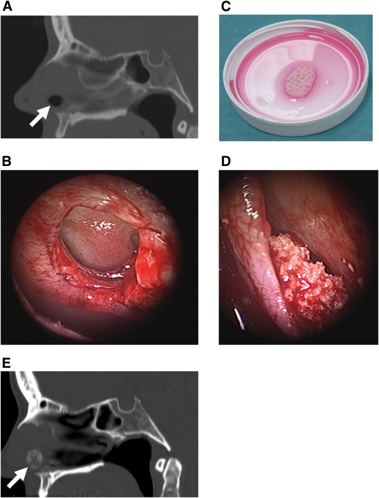 Figure 4.