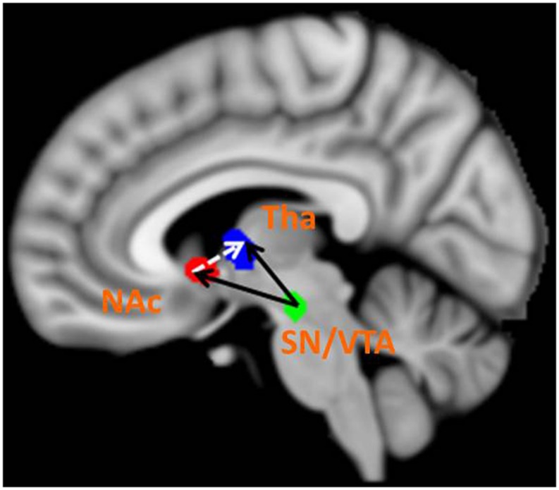 FIGURE 3