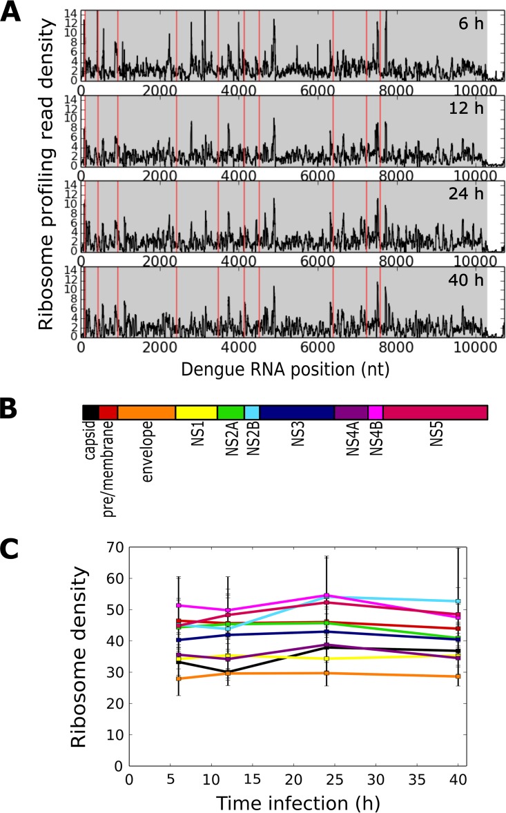 FIG 3