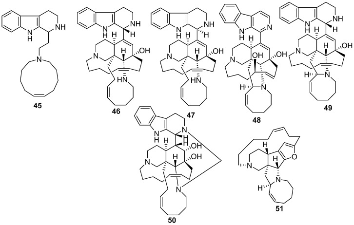 Figure 13