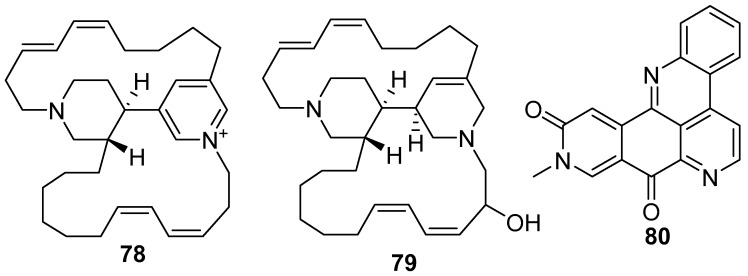 Figure 19