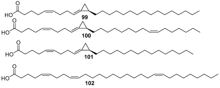 Figure 24