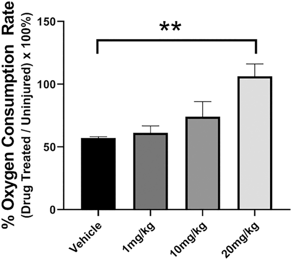 Figure 4: