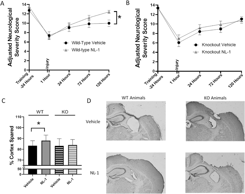 Figure 5: