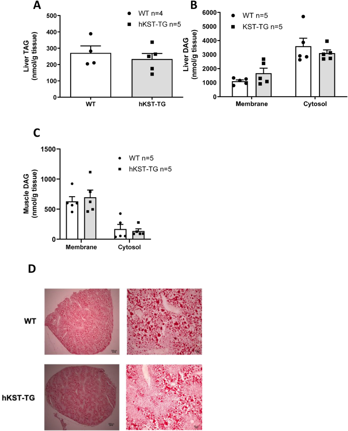 Figure 6