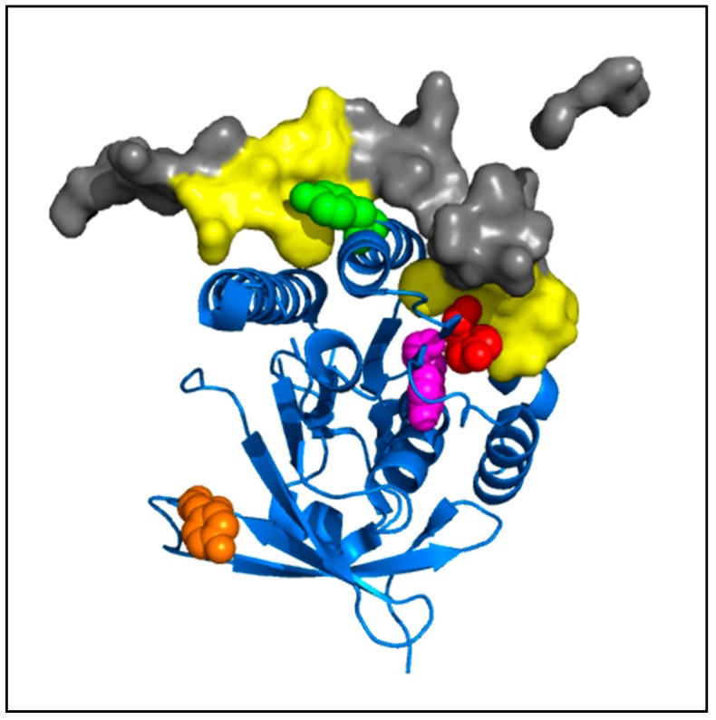 Figure 10